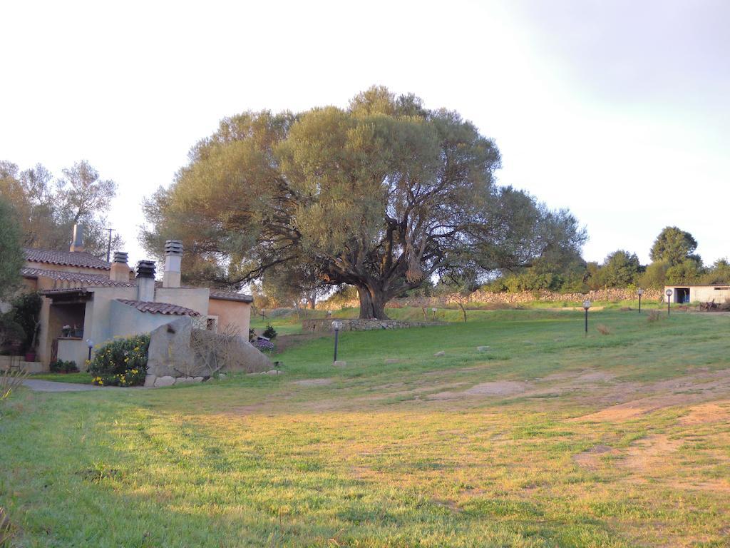 Agriturismo Candela Hotell Arzachena Eksteriør bilde
